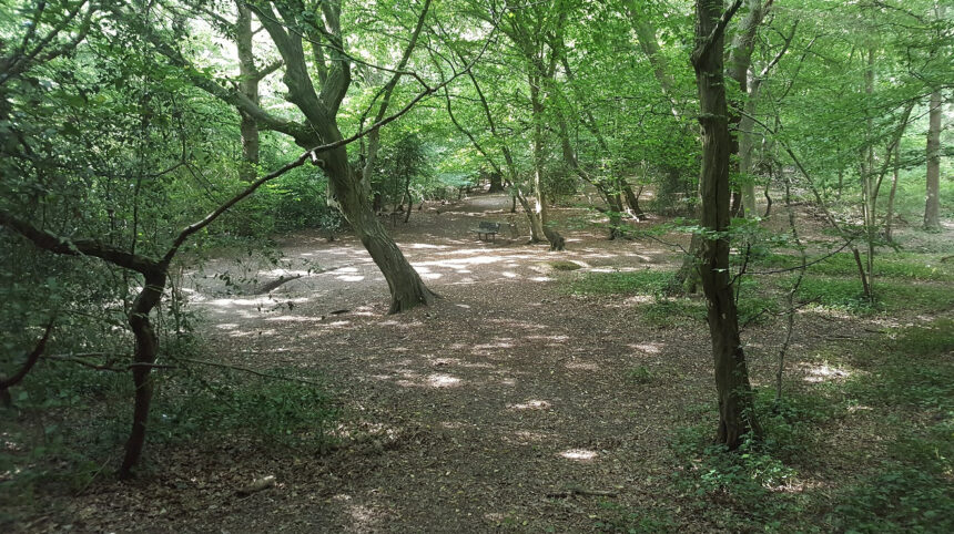 Haringey’s open spaces retain green flag awards as six of them vie for the uk’s favourite crown