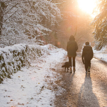 Save money and go green this christmas with the woodland trust’s guide to free winter walks