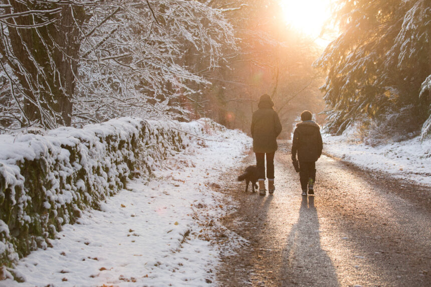 Save money and go green this christmas with the woodland trust’s guide to free winter walks