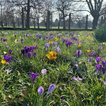Spring has sprung at bruce castle museum & archive!