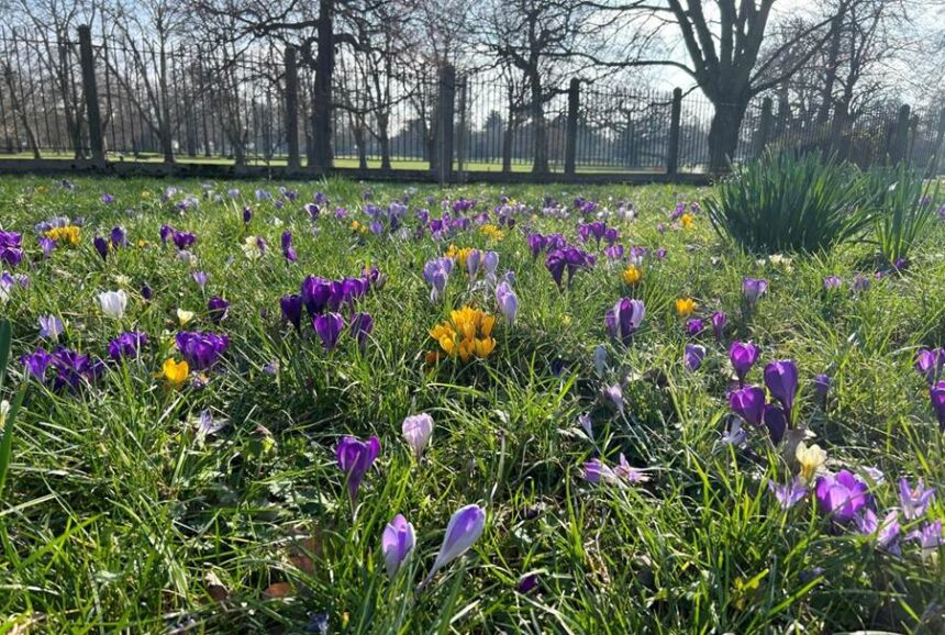 Spring has sprung at bruce castle museum & archive!