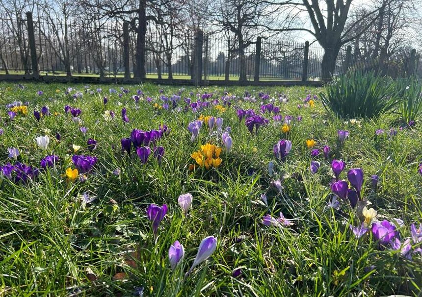 Spring has sprung at bruce castle museum & archive! Spring has sprung at bruce castle museum & archive!